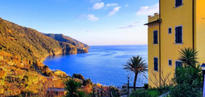 NEW 2024 Hanging Garden Corniglia